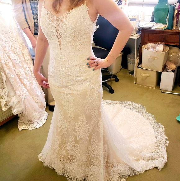 Meet your Posher, Elizabeth - Picture 4 of 5